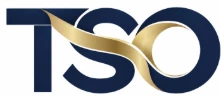 Leonis TSO - Task and Service Outsourced